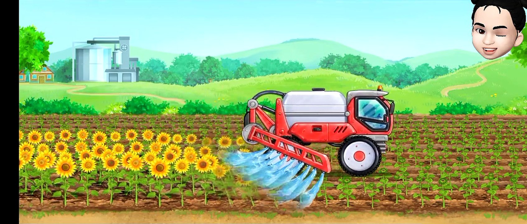 sunflower farming