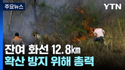 충남 홍성 산불 사흘째...확산 방지 위해 총력 / YTN