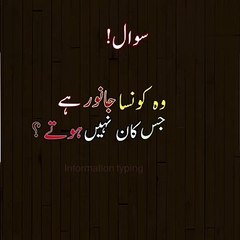 وہ جانور جس کے کان نہیں ہوتے