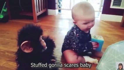 Hello Cactus! Funniest Babies and Naughty Toy become good friends