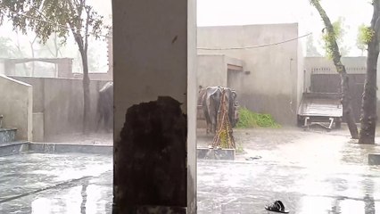 Barish Mai village ka beautiful views