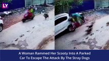 Odisha Stray Dog Menace: Woman Rams Scooty Into Parked Car To Escape Dog Chase; Horrifying Video Goes Viral