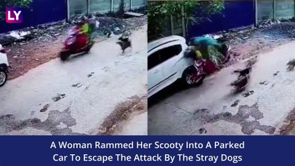 Odisha Stray Dog Menace: Woman Rams Scooty Into Parked Car To Escape Dog Chase; Horrifying Video Goes Viral