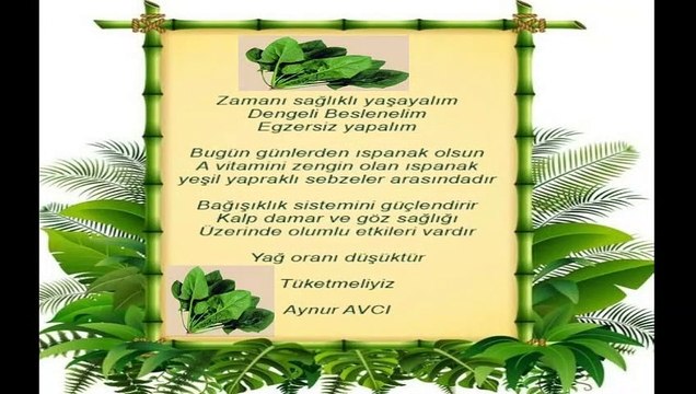 Zamanı Sağlıklı Yaşayalım * Seslendiren *Klip *Aynur AVCI