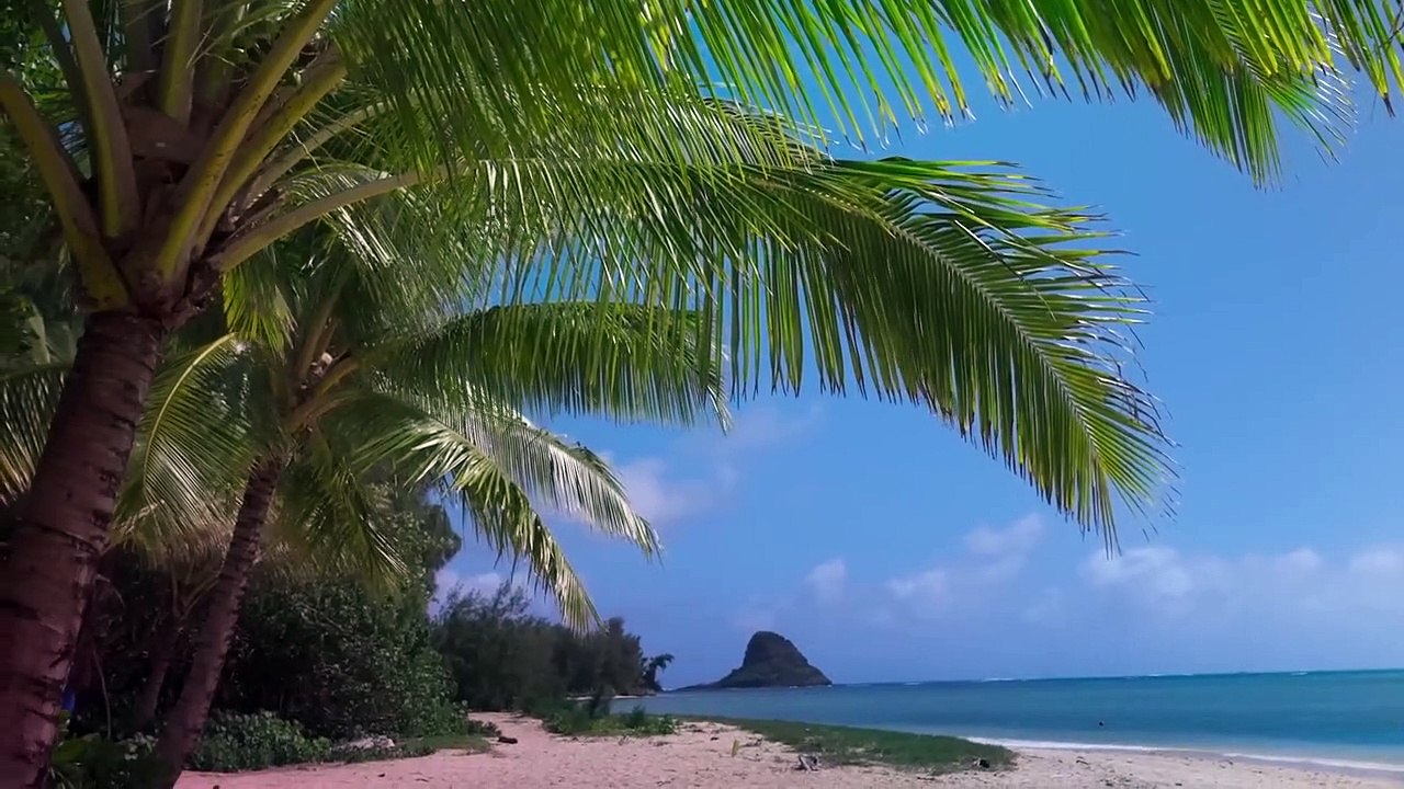 Vaiana Remake Ankündigung OV