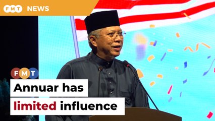 Annuar doesn’t offer PN much, say analysts