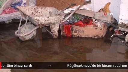Küçükçekmece'de bir binanın bodrum katında biriken sudan üreyen sivrisinekler tüm binayı sardı