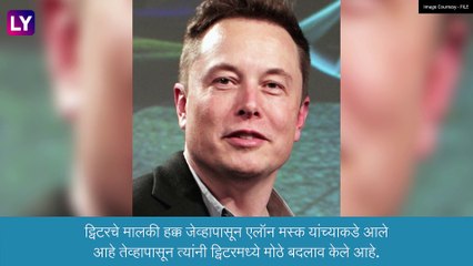 Twitter Logo Changed: ट्विटरचा लोगो बदलला, ठेवला \'या\' प्राण्याचा फोटो, एलॉन मस्कने दिली माहिती