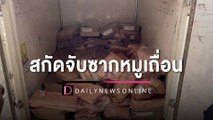 สกัดจับซากหมูเถื่อนร่วม 800 โล ลอบเข้าชายแดนสระแก้ว ส่งขายเมืองหลวง | HOTSHOT เดลินิวส์ 04/04/66