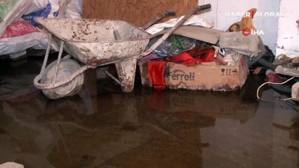 Bina sakinlerinin kabusu oldu: Küçükçekmece’de bir binayı sivrisinekler bastı!