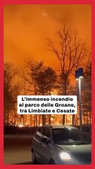 I video dell'incendio al Parco delle Groane, tra Cesate e Limbiate (Milano)