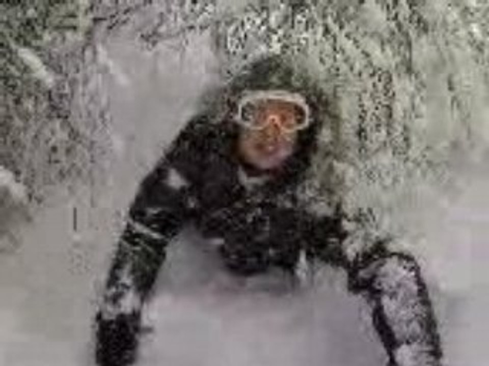 La neige c'est cool vol 3 (encore els arbres)