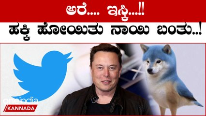 Twitter New Logo: ಟ್ವಿಟ್ಟರ್ ಲೋಗೋ ಬದಲಾಯಿಸಿದ ಎಲಾನ್ ಮಸ್ಕ್  ನೀಲಿ ಹಕ್ಕಿ ಬದಲು ನಾಯಿ ಚಿತ್ರ