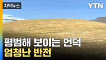 [자막뉴스] 햇빛 한 줄기조차 들지 않는데...신비로운 광경 / YTN