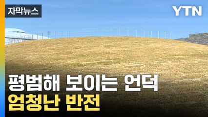 [자막뉴스] 햇빛 한 줄기조차 들지 않는데...신비로운 광경 / YTN