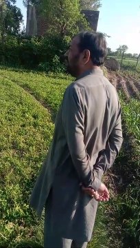 Crops in village (@ branded village)