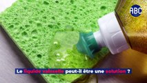 Peut-on laver sa voiture avec du produit vaisselle ?