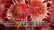 Nueva tecnología de tratamiento contra el cáncer podría ser revolucionaria