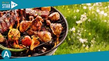 La saison des barbecues arrive à grand pas ! Découvrez vite ce produit en promotion !