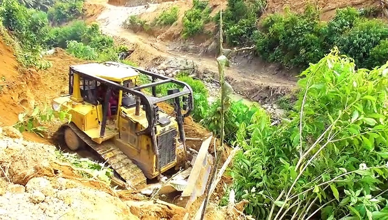 Encouraging: Mighty Bulldozer Development of Oil Palm Plantations