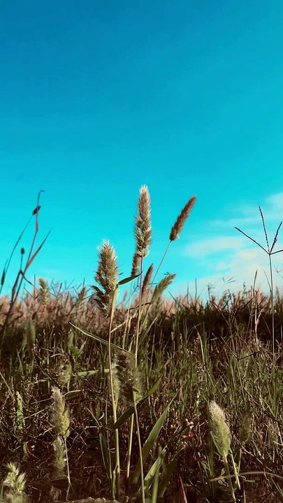 Background blue sky
