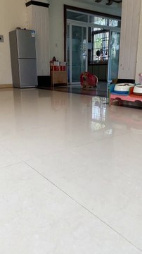 Dog Funny Moments |Funny Dogs | Cute Pets |Funny Animals #animals #pets #dog #funnyanimals #cutepets