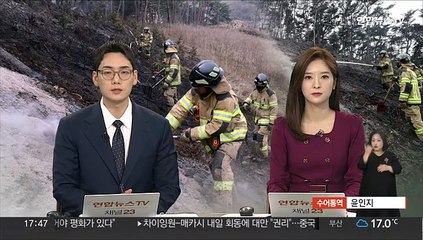 충남 홍성 산불 주불 진화 완료…빗방울 시작