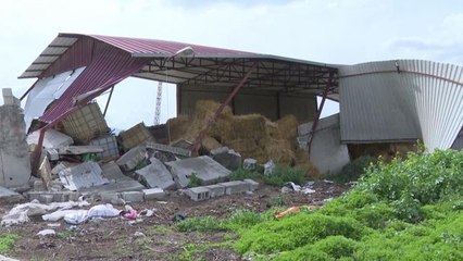 Hatay'da Arazisi Yıkıma Uğrayan Çiftçi Tunç: "Devlet Büyüklerimizden Yardım Bekliyoruz… Devletin Desteklerini İhmal Etmemesi Lazım"
