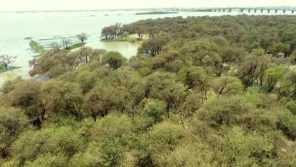 تدني النشاط السياحي على واجهات النيل في الخرطوم