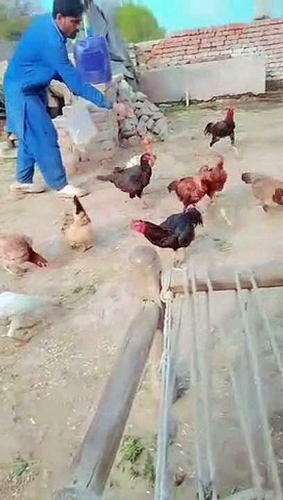 VID-20230404-WA0026