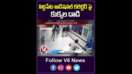 సిద్దిపేట అడిషనల్ కలెక్టర్ పై కుక్కల దాడి _ Dogs Attack Collector In Siddipet  | V6 News