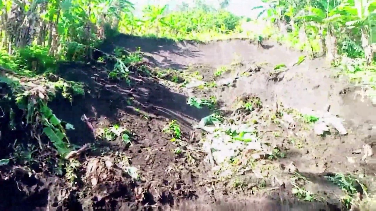 Landslide kills at least 20 in eastern Congo