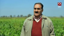 فرحة كبيرة لمزارعي أبوكبير في الشرقية بموسم حصاد محصول بنجر السكر