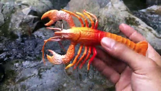 Find Then Clean Animal Elephant, Wolf, Sheep, Polar Bear, Lobster in Real River