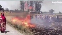 आजमगढ़ : अज्ञात कारणों से खड़ी फसलों में लगी आग, इतने बीघा जलकर हुई राख