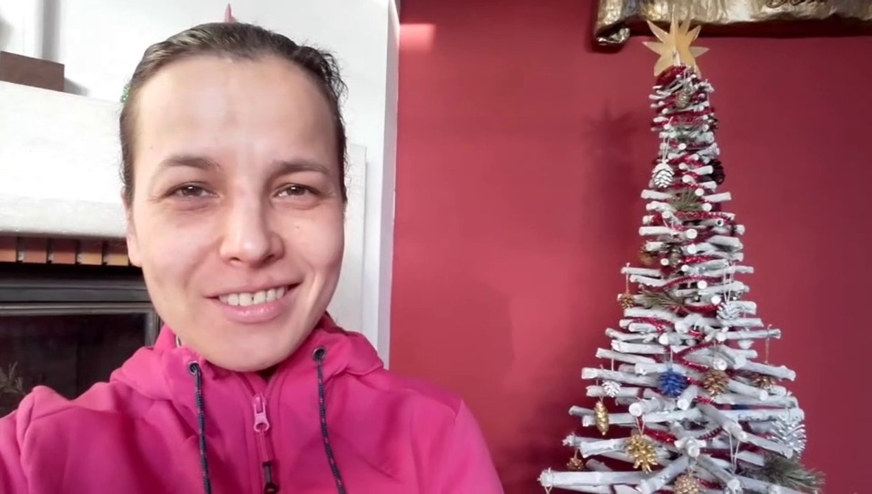 Décoration naturelle  pour le sapin de Noël