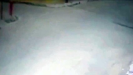 Garota perde controle de cavalo, que colide com carro em cruzamento