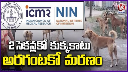 ICMR Report On Street Dog Bites _ Every Year 2 Crore People Suffer with Street Dogs _| V6 News