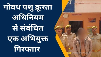 बलरामपुर: गौ हत्या करने वाले आरोपी को पुलिस ने किया गिरफ्तार