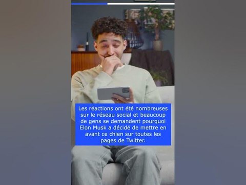 Pourquoi le nouveau Logo de Twitter pourrait coûter 258 milliards de dollars à Elon Musk ?