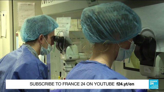 WHO Infertility report: One in six people experience infertility worldwide