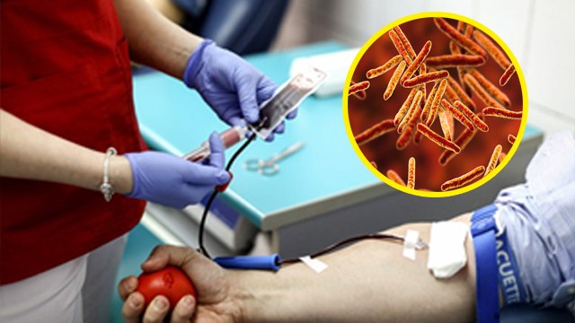 टीबी के मरीज ब्लड डोनेट कर सकते है या नही | TB Patient Blood Donate Kar Sakte Hain Ya Nahi | Boldsky