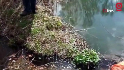 Depremden sonra yıllardır akan pınarlar kurudu, yeni su kaynakları oluştu