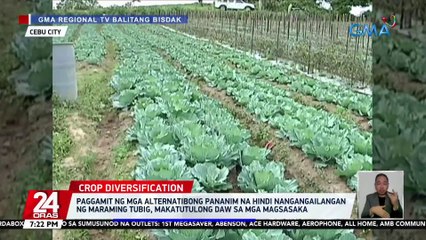 Paggamit ng mga alternatibong pananim na hindi nangangailangan ng maraming tubig, makatutulong daw sa mga magsasaka | 24 Oras