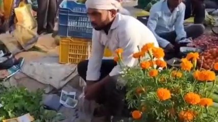 बस्ती: गांव की बाजार में नवाचार कर बेरोजगारों के लिए नजीर पेश कर रहे अमरजीत, देखें रिपोर्ट