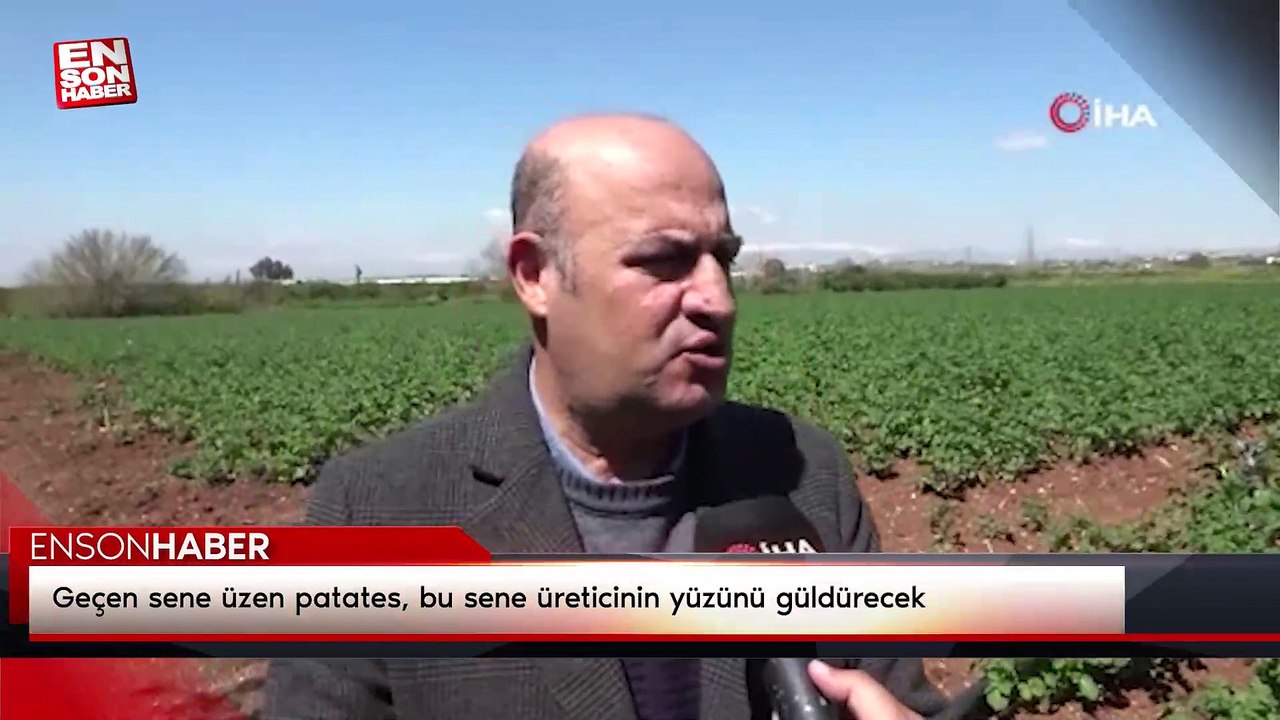 Geçen sene üzen patates, bu sene üreticinin yüzünü güldürecek