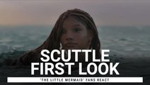 After First Look At Scuttle In 'The Little Mermaid' Is Released, Fans Are All Saying The Same Thing