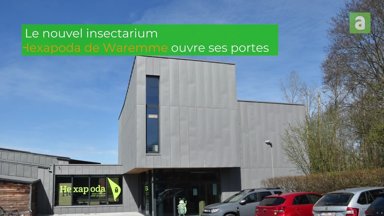 Le nouvel insectarium Hexapoda de Waremme ouvre ses portes