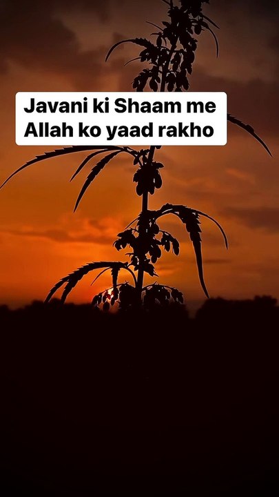 Allah ko yaad rakho