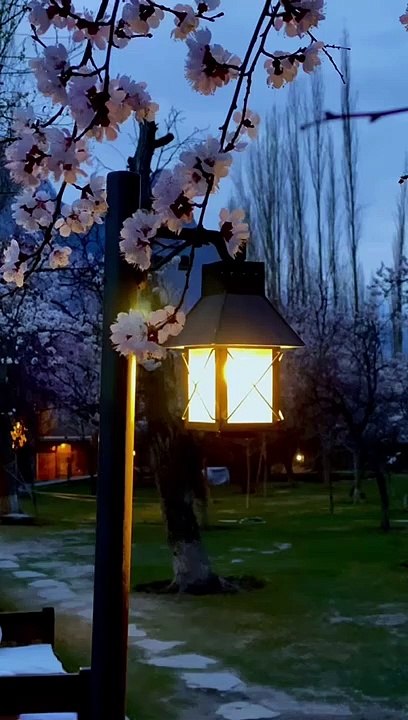 Night winter view